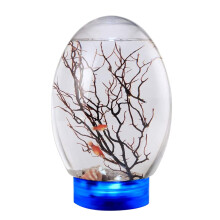 Whoamigo 360 Desktop Aquarium Kit - Novelty Design with LED Base, Perfect for Kids and Fishing Lovers