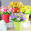 ZOELNIC1Bouquet28Heads Τεχνητά Λουλούδια Χονδρικής Ψεύτικες Ζέρμπερες Μαργαρίτα Μεταξωτά 1