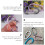 20pcs Aluminium Alloy Bottle Hook Reusable Kettle Carrying Clips (Random Color) 4