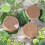Coir Pellet Compressed Coconut Coir Soil pH Balanced Moisture Retention for Seed Starting 5