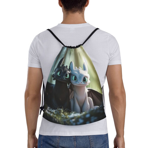 Κλασική τσάντα με κορδόνι How To Train Your Dragon, πτυσσόμενη, αθλητική, γυμναστικής, 1