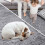 Tapis moelleux GRIS 120 x 160 cm 7