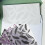 Bump Embossing Template Scrapbooking Folder Machine Plastic File Folders Textured Leaves for Crafts 5 Pcs 2