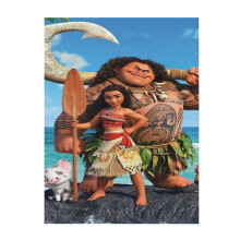 Moana pehmeä ja mukava heittohuopa, pehmoinen, kevyt ja lämmin pehmoinen flanellihuopa ja -päiväpeitteet sohvalle, vuodesohvalle, 80 x 60 cm