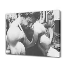 Affiche murale élégante en toile représentant une séance de musculation, style fitness, pour la chambre à coucher, le bureau ou toute autre