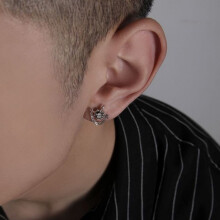 Exquisite Fashion Zircon Hypoallergenic Men's Earrings