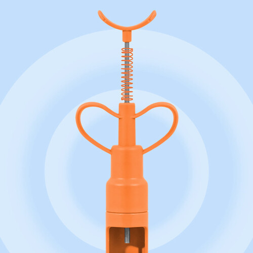 Kiplyki Vatertags-Gerät zum Entkernen roter Datteln, Jujube Kernelizer Kernel Tool Kernelizer 2
