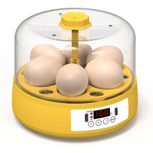Eierbrutapparat, digitaler, vollautomatischer Mini-Eierbrutapparat für 6 Eier, integrierte LED-Eierbeleuchtung, Zuchtgerät für Hühner, Enten und