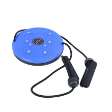 Magnetic Waist Twisting Disc with Resistance Bands, Foot Massage, AntiSlip Base, 25cm for Home Fitness