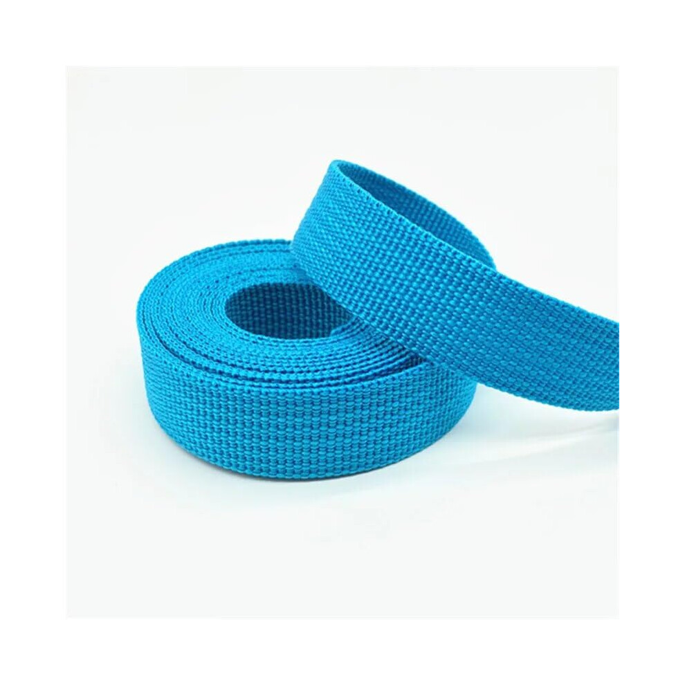 Lake Blue Nylon Webbing Strap 20Mm Heavy Duty Weatherproof With Quick Release Buckle 9164114641786