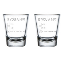 Set of 2 Shot Glasses 1.75oz Shot Glass Gift Is You A NP Funny Nurse Practitioner