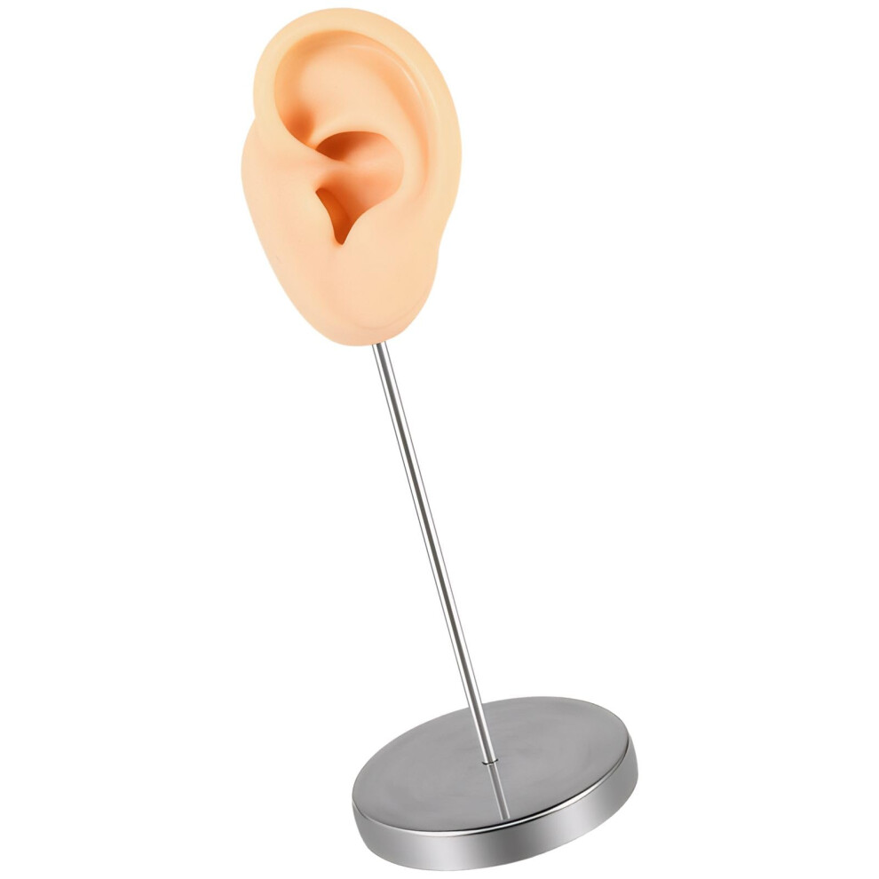 Silicone Ear Model with Metal Stand for Piercing Practice and Teaching â Realistic Left Ear Display