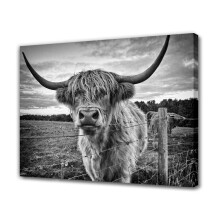 Poster pe pânză cu vite Highland alb-negru, decor pentru dormitor, peisaj sportiv, decor pentru cameră de birou, cadou, stil ramă, 12x18 inch