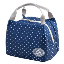 Sonderangebot! Isolierte Kühltasche aus Canvas mit Streifenmuster für Picknicks unter 5 – ideal zum Kühlen und Tragen.
