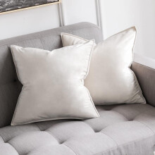 Lot de 2 housses de coussin carrées en velours doux, 40 x 40 cm, pour lit, canapé ou banc.