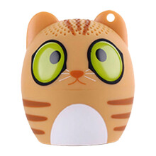 PAVEOS Wireless Mini Bluetooth Speaker, Portable Cute Subwoofer for Kids & Adults, Compatible with Mobile Phones, Car Audio Kit, Orange