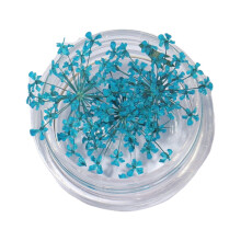 Hesroicy1Box Decorações para Unhas, Cores Vivas e Realistas, Efeito 3D que Não Desbota, Flores Secas Coloridas, Ampla Aplicação, Presente para
