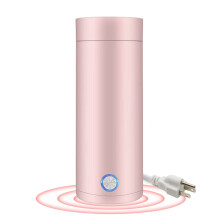 110V Travel Electric Kettle 400ML Stainless Steel Leakproof Fast Boil for Tea Coffee Pink