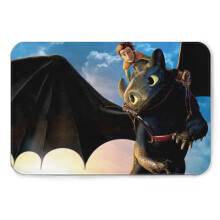 How To Train Your Dragon Carpet, non-slip bathroom floor, soft fun flannel bath mat, shower sink rug-40*60