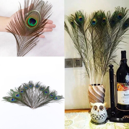 Farfi10 τεμάχια Φτερά παγωνιού Ελκυστική DIY δημιουργία Φυσικό φτερό ουράς παγωνιού 2