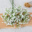 6 τεμάχια ψεύτικα λευκά λουλούδια Baby's Breath, μπουκέτο από τεχνητή γυψοφίλη σε 7
