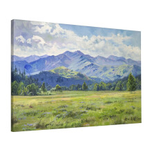 Paysage de prairie de montagne ensoleillée - Tableau encadré sur toile 16x24 pouces