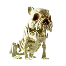 Liquidation d'Halloween ! Squelette d'Halloween en feutrine, accessoires de décoration squelette pour maison hantée, squelette de chien