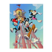 Couverture douce et confortable Animaniacs en peluche légère et chaude, idéale pour canapé, lit ou fauteuil, 152 x 127 cm