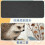 Premium Hedgehog Small Mushroom Mouse Pad - Συμβατό με όλα τα ποντίκια - Άνετη επιφάνεια για έλεγχο 4