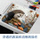 Premium Hedgehog Small Mushroom Mouse Pad - Συμβατό με όλα τα ποντίκια - Άνετη επιφάνεια για έλεγχο 6