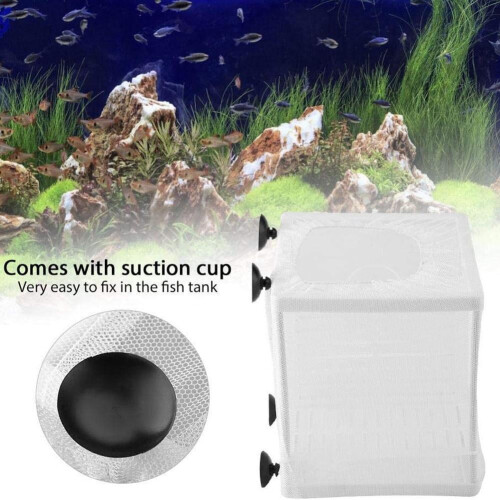 Fish Tank Breeder Net, Large Fish Breeder Isolation Box, Plast L5M8 1
