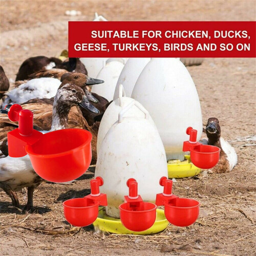 YiFudd 6pc Poultry/Quail Water Drinking Cups Chicken Hen Plastic Automatic Drinker New