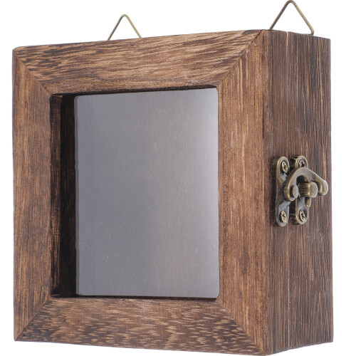 Vintage Specimen Box Display Shelf Pressed Flowers Display Frames Collage Picture Frames Insect Holder
