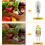 Ampoules LED Tomshine G4, lot de 12, blanc chaud 3