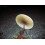 8 Inch Round Pizza Stone 6