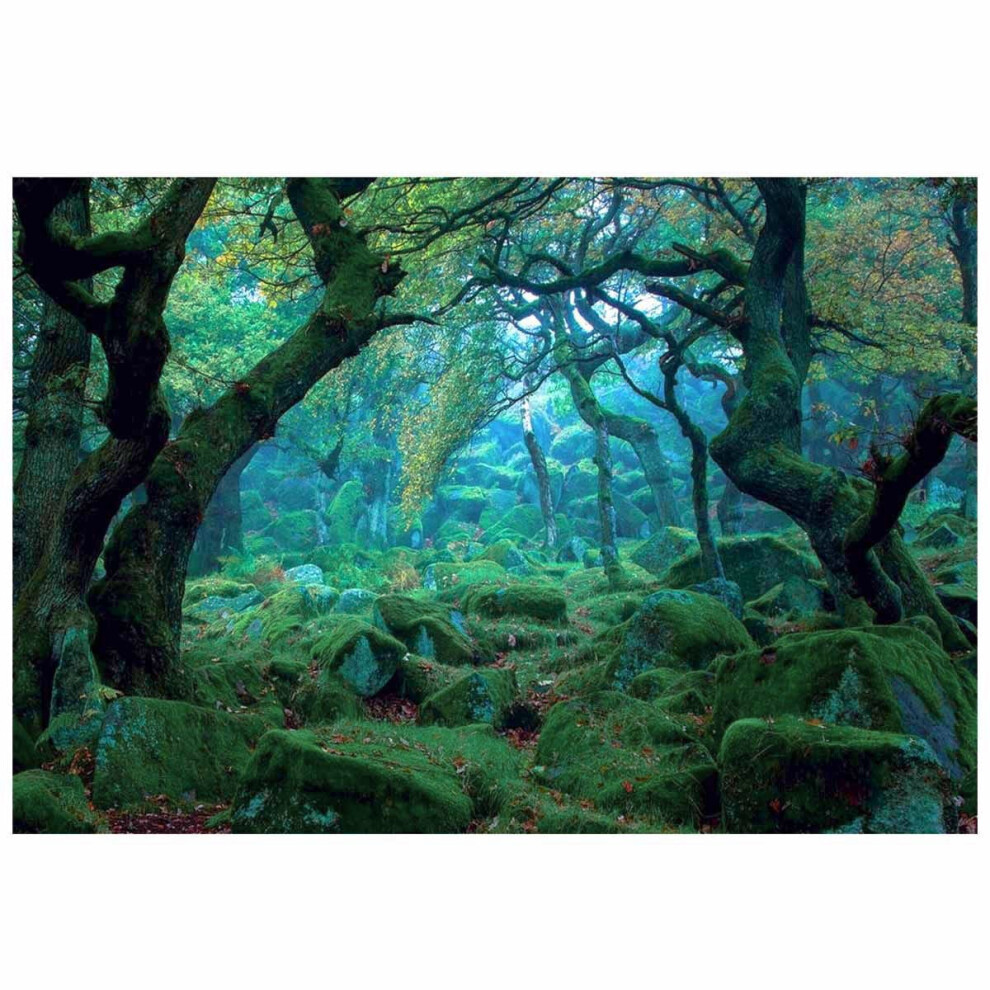 3*5Ft Jungle Forest Photography Backdrop Studio Props Photo Background Green 9083649003190