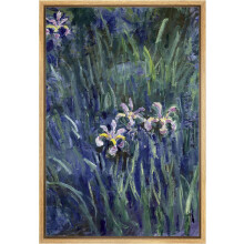 Dashauibi Leinwandbild (ungerahmt), Irisblüten, 1926 von Claude Monet, passend zu Vintage-Aquarell-Dekor – 40 x 60 cm, Natur