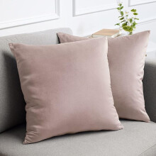 Cterwk Lot de 2 housses de coussin décoratives carrées en velours, douces et carrées, pour canapé, lit, salon, voiture, 56 x 56 cm