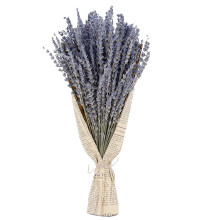 ASEIDFNSA Bouquet de lavande séchée pour l'aromathérapie d'intérieur. Fleurs de lavande séchées naturelles pour la décoration intérieure,