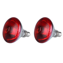Led Lights For Bedroom,250w Infrared Heat Lamp Anti Explosion Thickened Light Bulbs For Piglet Chicken Duck Birds