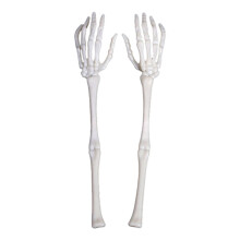Piquets réalistes en forme de bras de squelette pour Halloween (2 pièces), plastique haute résistance, accessoires de décoration (articles de