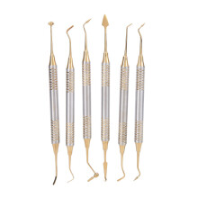Conjunto de instrumentos odontológicos de aço inoxidável com design de cabeça dupla, resistentes à corrosão, antiaderentes, duráveis e