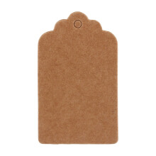Delaman 100 pezzi Etichette regalo vuote in carta kraft per matrimoni, feste, lavori creativi, Natale, etichette prezzo (marrone, 5*3 cm)