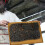 Plastic Frames Bees Nest Beekeeping Tools Beekeeper Supplies Natural Beeswax Beehive Foundation 5