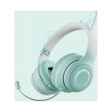 AMERTEER 5.1 Bluetooth Headset with Dual Mic Noise Canceling Wireless PC Headphones PC/Mac/Laptop for Home/Call Center/Office/Skype