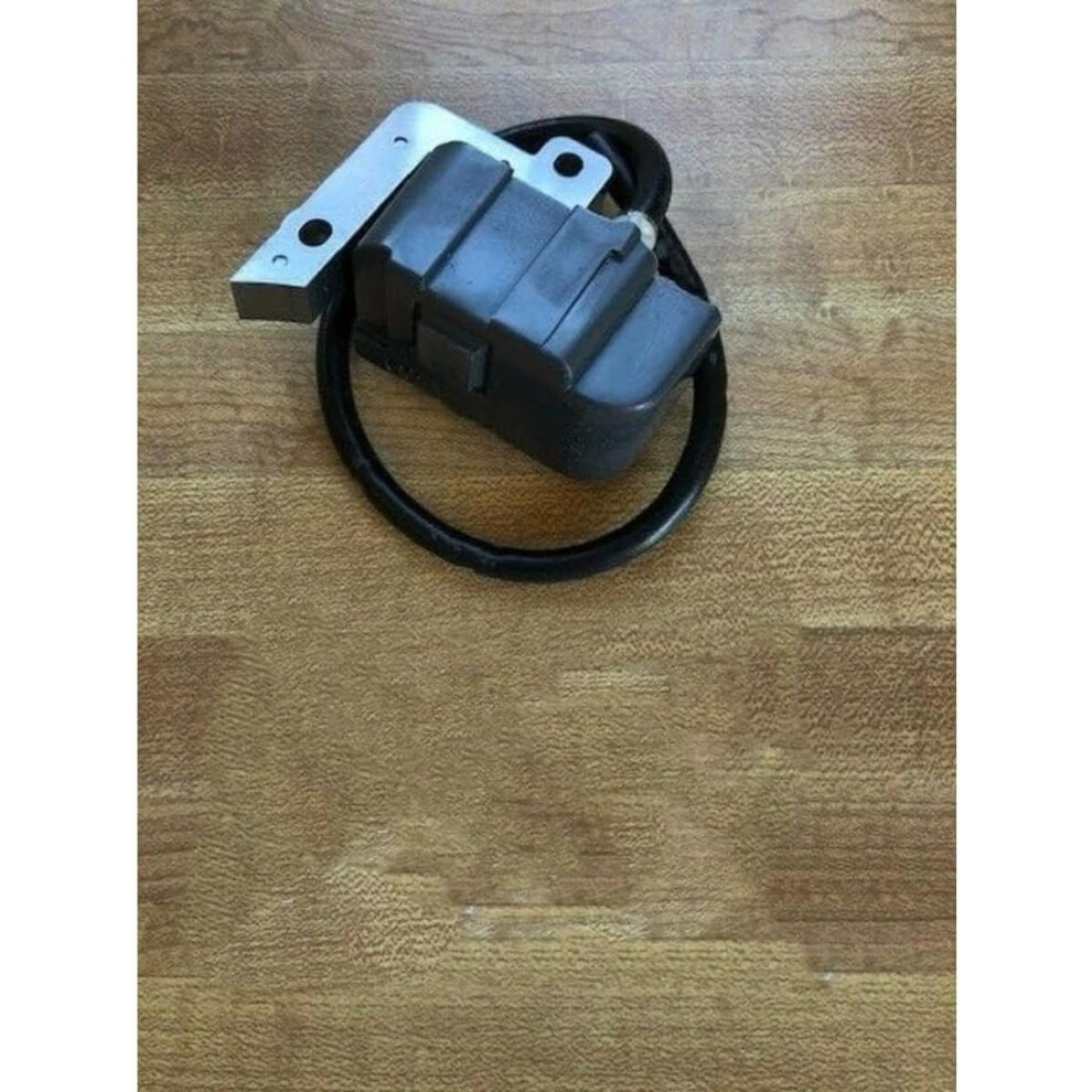 Ignition Coil Replacement For Echo 15662609661 Gt2000 Gt2400 Srm2100 Pb2400 Reliable Start 9113335059641