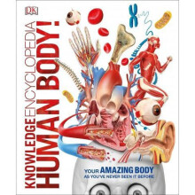 Knowledge Encyclopedia Human Body by DK