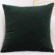 Housse de coussin décorative carrée en velours Cterwk, 55 x 55 cm (21,65 x 21,65 pouces).
