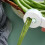 Είδη Κουζίνας Λειτουργικός Κόφτης Ζυλιέν Τσίλι Σκόρδο Ζυλιέν Είδη Κουζίνας 5