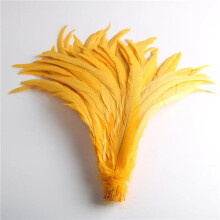 50pcs Natural Chick Tail Feathers 25-40cm / 10-16inch Clothing Decoration Stage Performance Rooster Tail Feathers Plume Golden 25-30cm